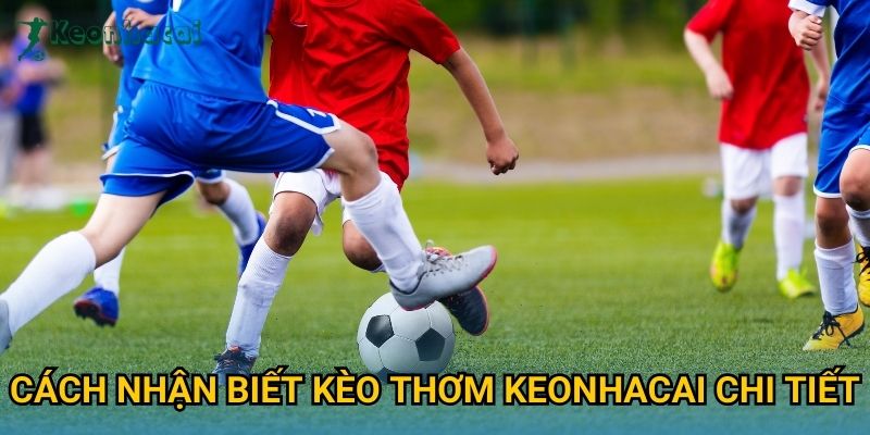 Cách nhận biết kèo thơm Keonhacai chi tiết Cách nhận biết kèo thơm Keonhacai chi tiết