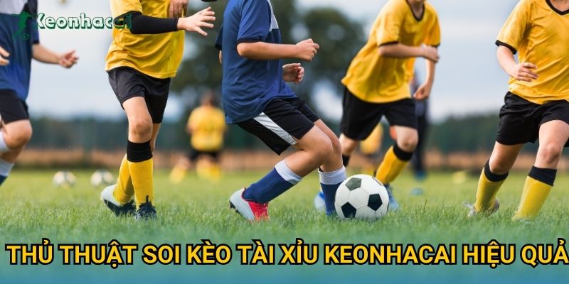 Thủ thuật soi kèo tài xỉu Keonhacai hiệu quả Thủ thuật soi kèo tài xỉu Keonhacai hiệu quả