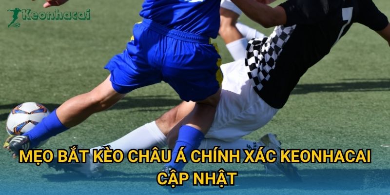Mẹo bắt kèo châu Á chính xác Keonhacai cập nhật Mẹo bắt kèo châu Á chính xác Keonhacai cập nhật